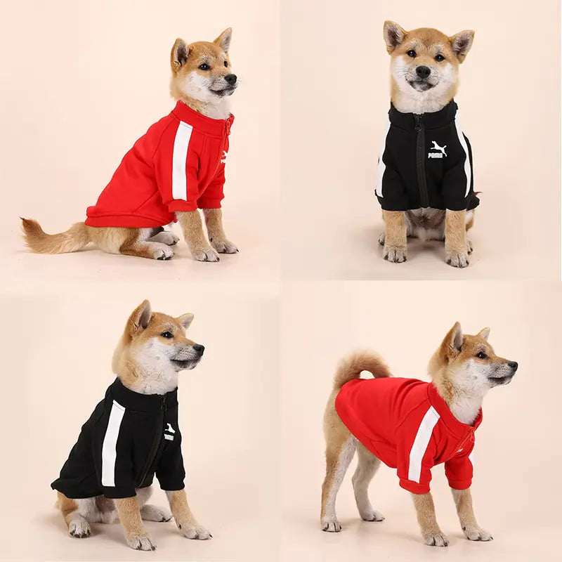 Winter Luxury Pet Dog Clothes